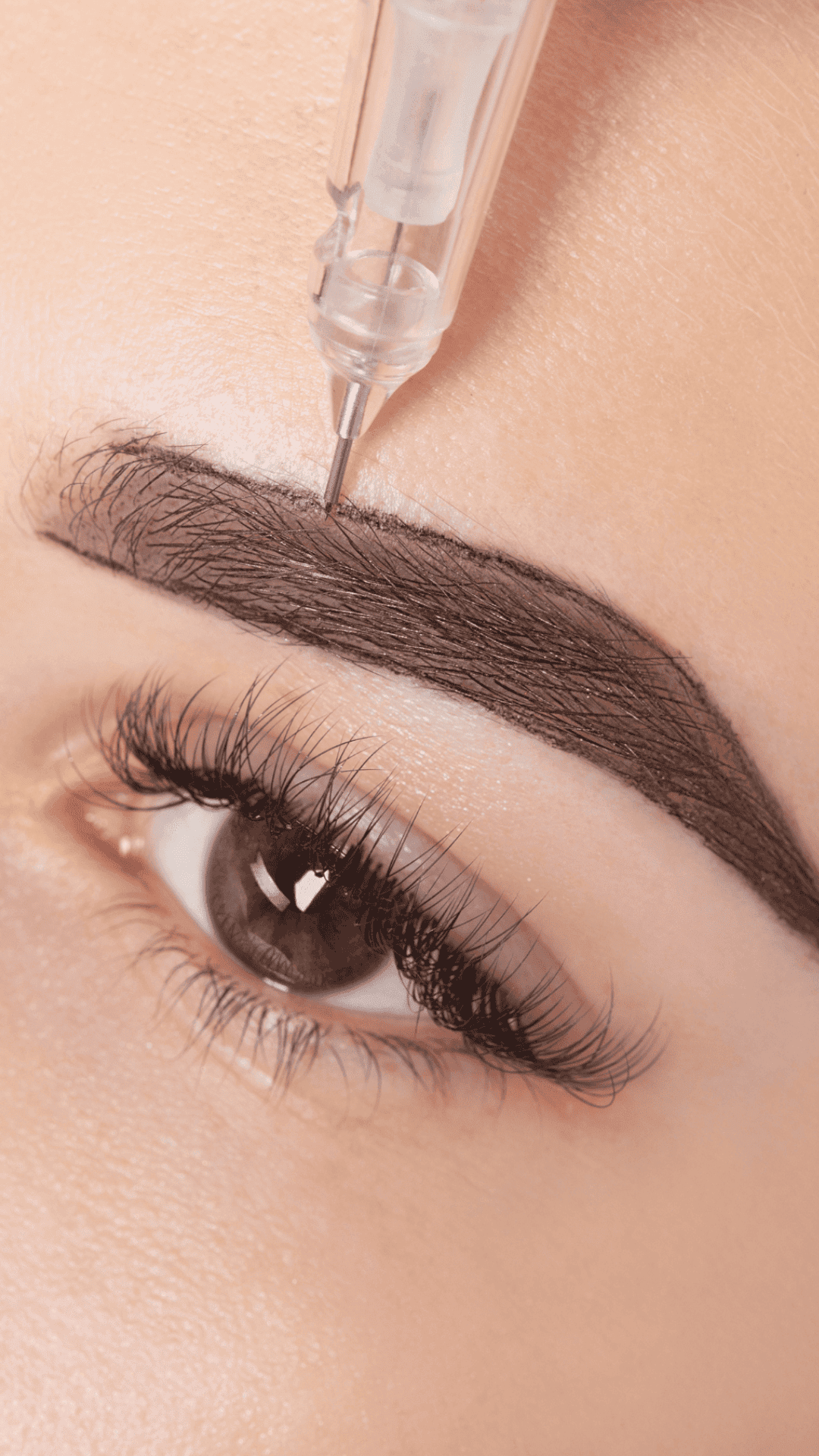 Gradient Brows